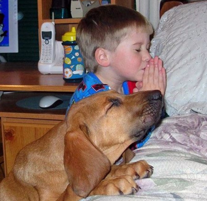 Jango the dog and Billy the cat praying – gorgeous!